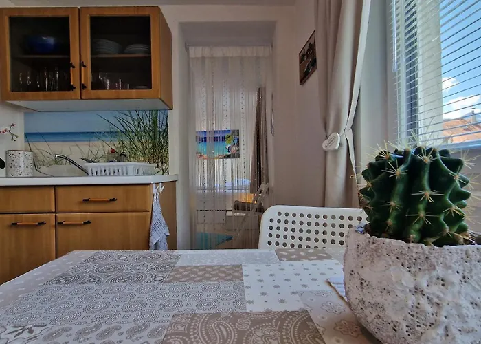 Apartment Homy Downtown *